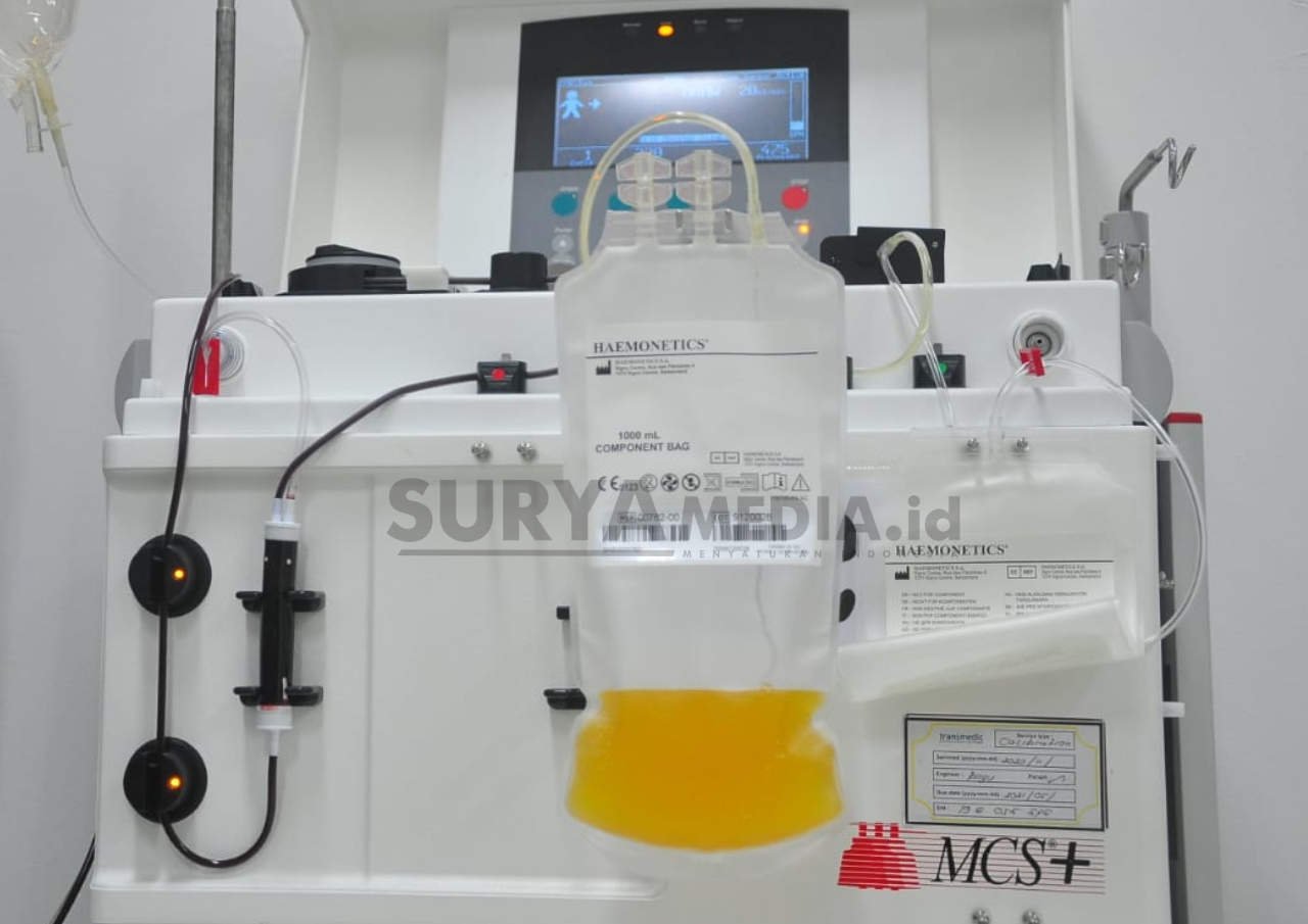 PENYINTAS COVID-19 DIHARAP PROAKTIF DONOR PLASMA KONVALESEN