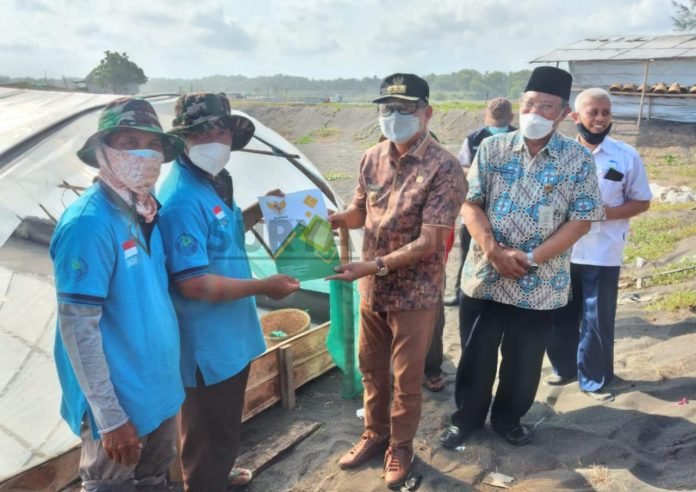 Kualitas Baik, Purworejo Dikategorikan Hasilkan Garam Industri KUALITAS BAIK, PURWOREJO DIKATEGORIKAN HASILKAN GARAM INDUSTRI
