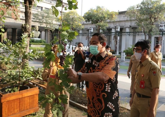 Pemkot Semarang Akan Jadikan Balai Kota Menjadi Green Building Pemkot Semarang Akan Jadikan Balai Kota Menjadi Green Building