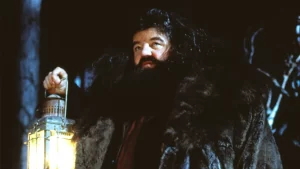 Pemeran Hagrid di Harry Potter Meninggal Dunia