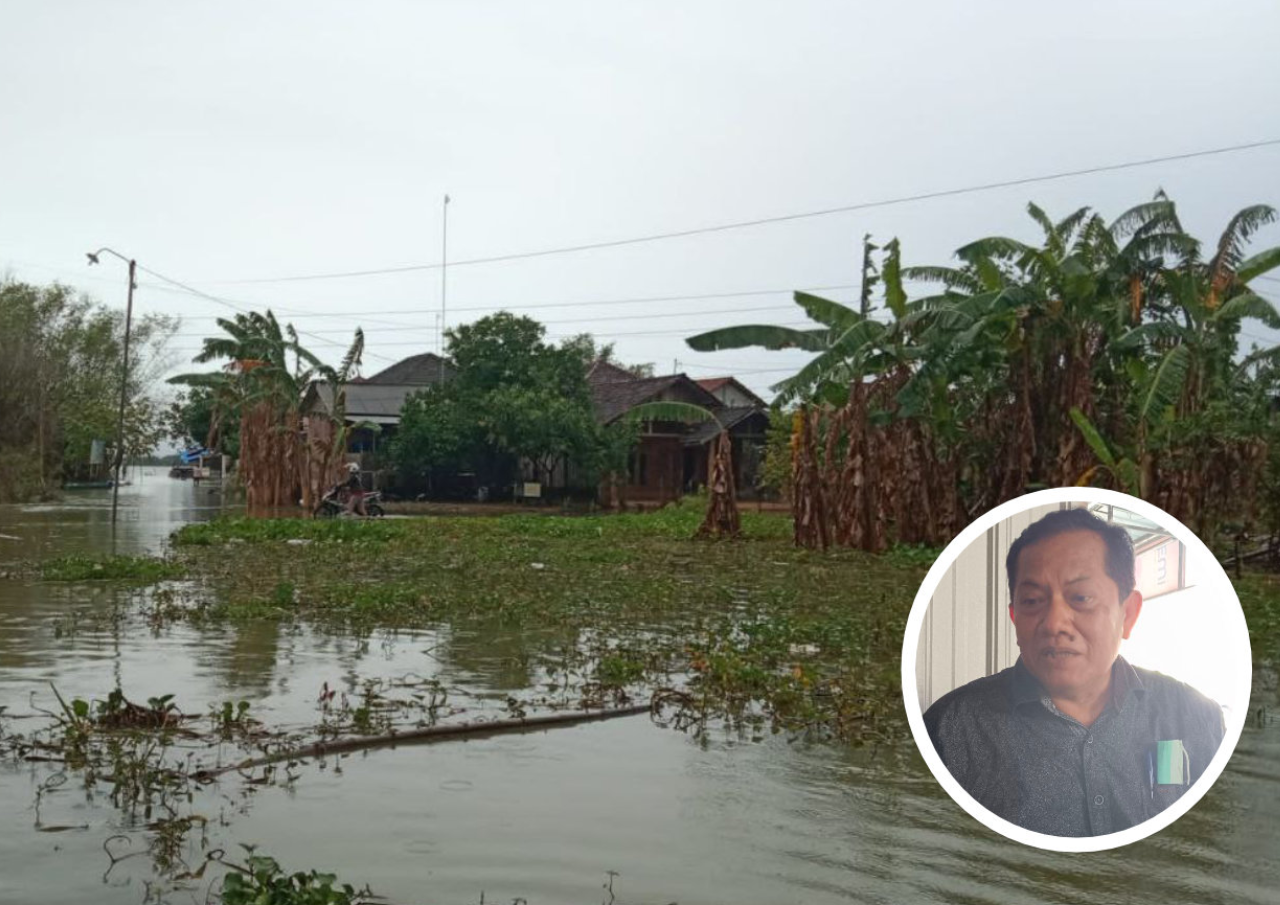 DPRD: Kerugian Petani Tak Sedikit setelah Lahan Tergenang Banjir - Suryamedia.id