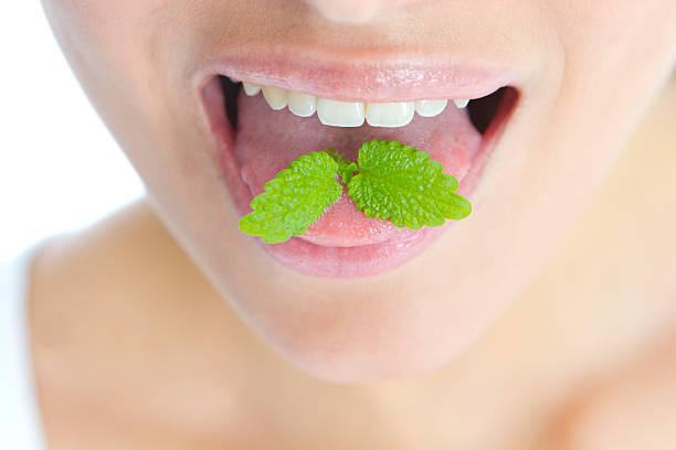 Foto: Ilustrasi makanan pencegah bau mulut (Sumber: iStock)