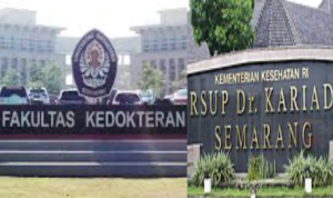 undip
